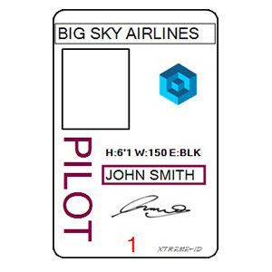 PILOT ID TEMPLATE 1